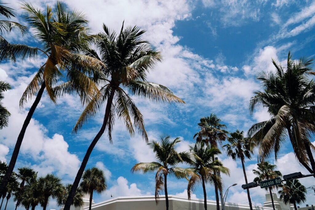 Moving to Palm Beach County - DJ & Lindsey Real Estate