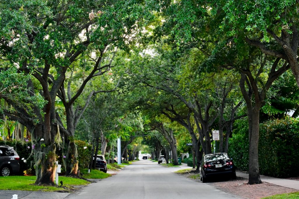 Best Neighborhoods in St Augustine for First-Time Buyers - DJ & Lindsey Real Estate
