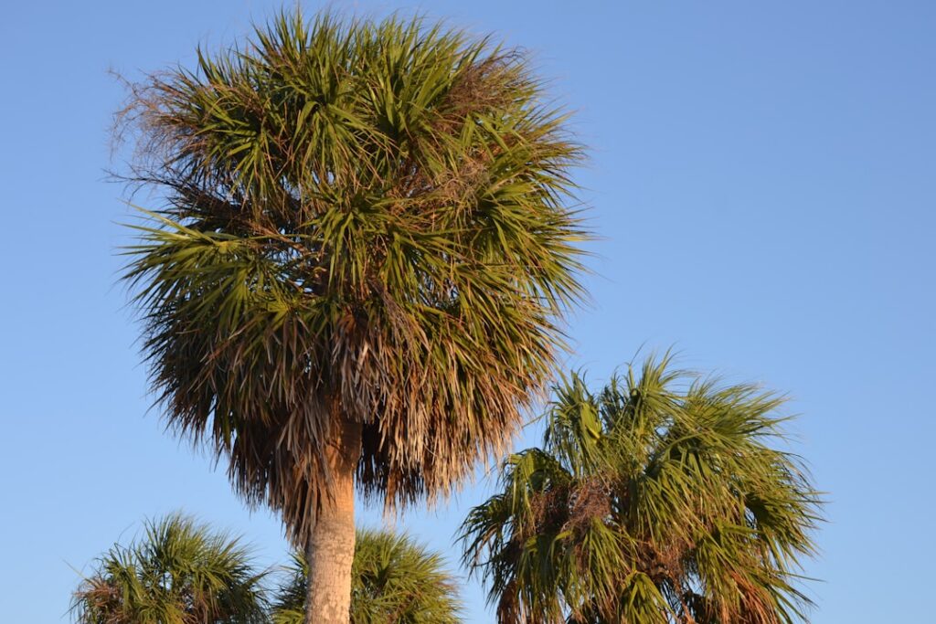 Best Time to Buy a House in Jacksonville - DJ & Lindsey Real Estate