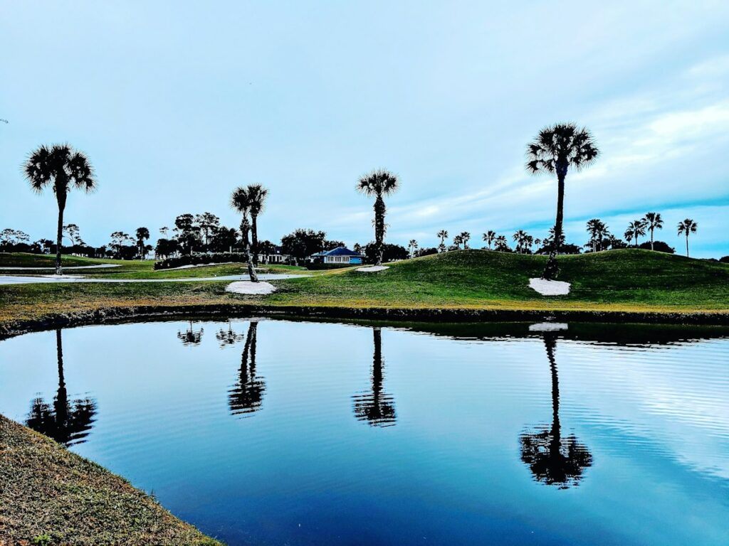BallenIsles homes for sale in a gated Palm Beach Gardens golf community - DJ & Lindsey Real Estate
